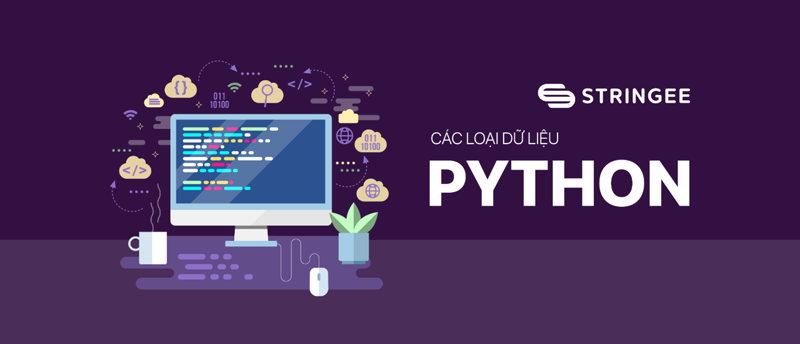Những kiểu dữ liệu trong Python được đơn giản hóa - Khokhoahoc.io.vn 1 Những kiểu dữ liệu trong Python được đơn giản hóa - Khokhoahoc.io.vn
